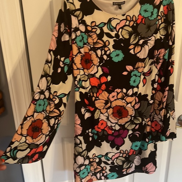 Express Dress - Picture 2 of 3